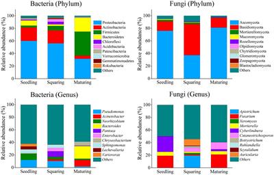 Microbial composition and diversity of the tobacco leaf phyllosphere during plant development